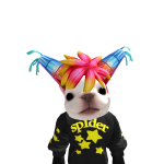 RAYO
