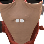 @tbagking8251