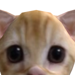@zoelprt