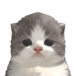 @ashleybkk