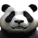 @panda_rbloxx