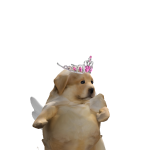 EmuOtori