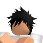 @roblox_DECOOL