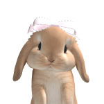 @audrsey