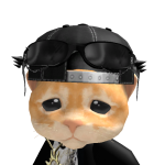 @fantasicanhbloxer687