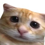 @rafa153483