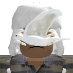 @beniousfool