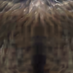 @bjerome1000