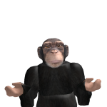 @FELIPE122378BR