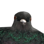 @Link_Lenz666