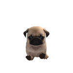 @ZOESGL4MXO