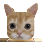 @LukasR131