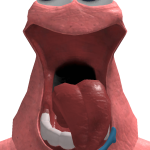 @imBENDY_0