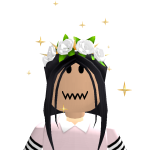 @roblox2937383