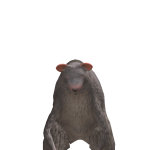 @Yeti_Slayer113