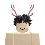 @roblox_user_11105203243