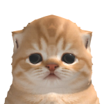 @meommix