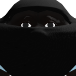 @niceMr_Noob
