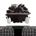 @donavanbird
