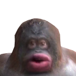 @Rkduddl1208