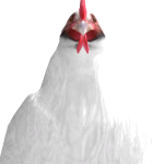 @fartingchicken5