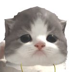 @revrtyl