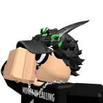 @roblox_user_1995278373