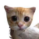 @Lambythefirst