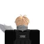 @YTGaming12452