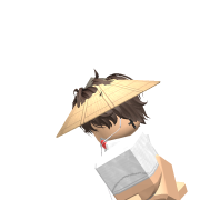 xSaraap