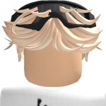 @royalboy3654