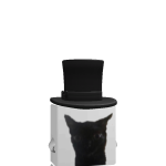 @Blazecat2222