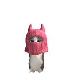 @animal22250