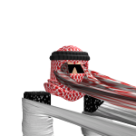 @RaraRyan2013