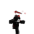 ts8xr