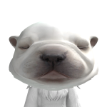 @hctqr