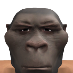 @Infehno