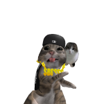 @duendekie23
