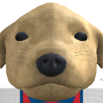 @Guilherme_reisfb