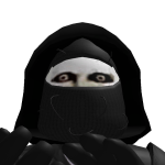 @FMG_gamingonroblox24