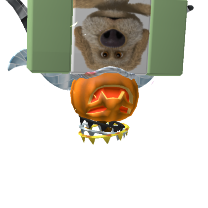 rxbloxxr