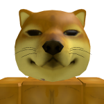 @warshokk