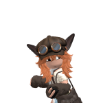 @gamerciraptos