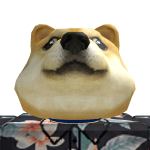 @NicolasTheDoge