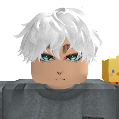 Roblox profile picture for @Shuntaro0
