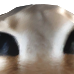 @orshjm