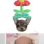 @noob_MAX0