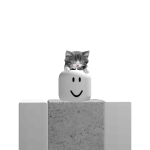 @plortboy16