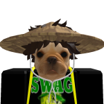 @c4xboomxc4