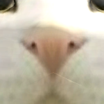 @aestethic_xxx
